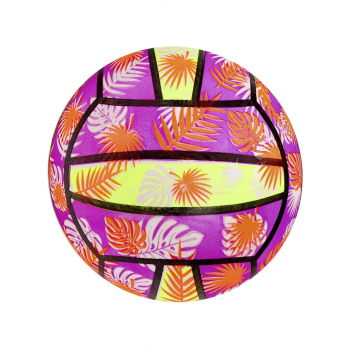 Мяч "Растения" 4 цвета микс (22см) кратно 10 (арт.TY45)